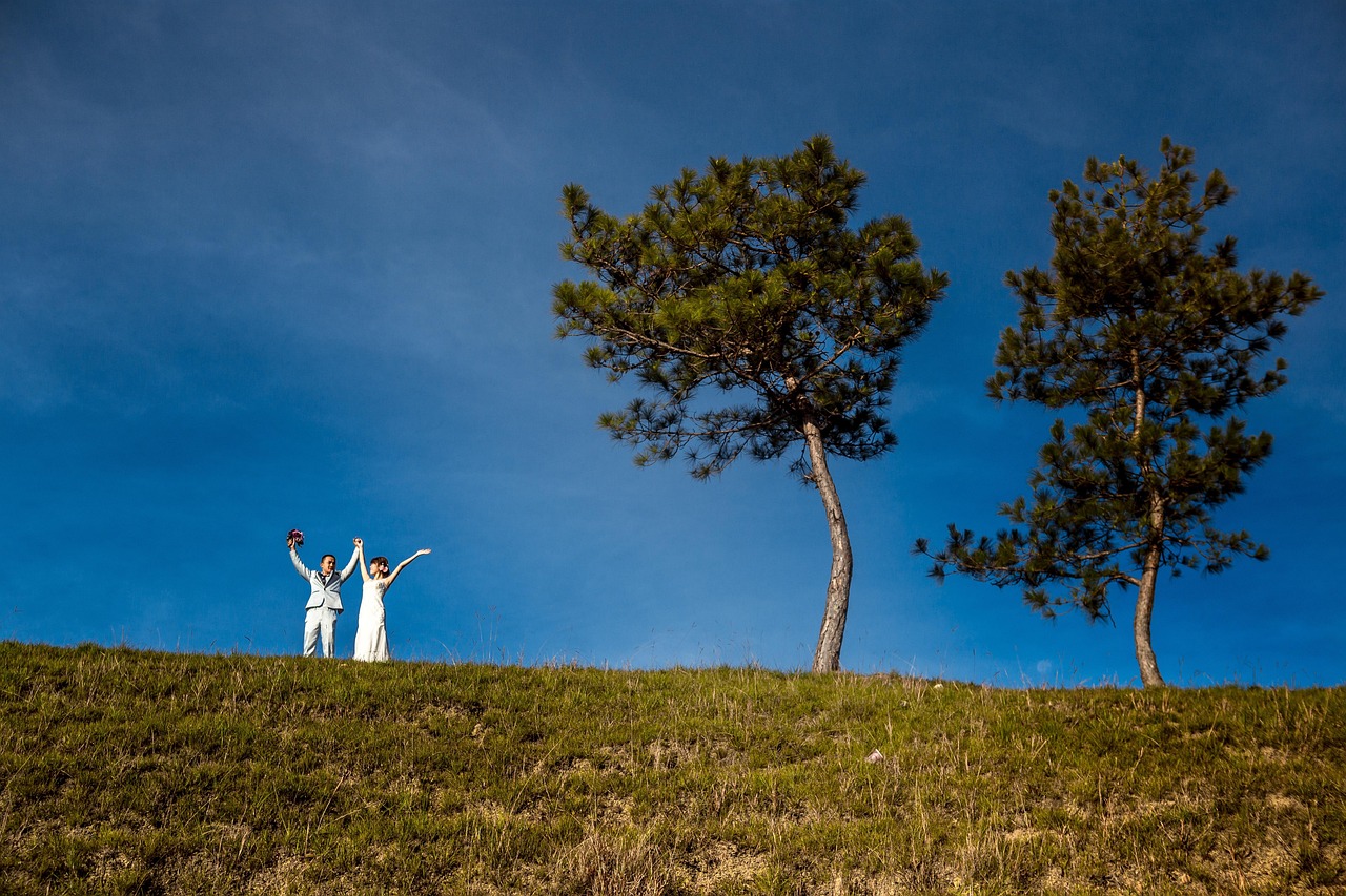 What New Investors Need to Know About Sharpe Ratio Interpretation