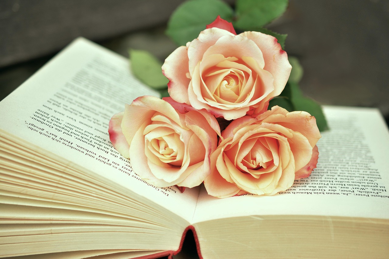 Backtesting Books for 2026: A Practitioner's Shortlist